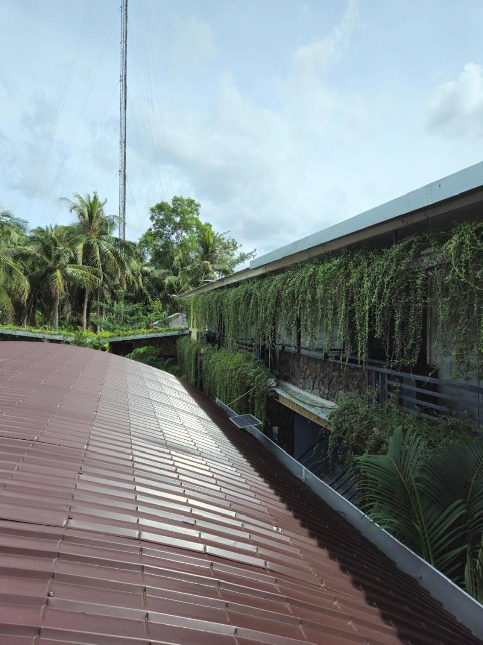 Homestay Bao Binh Ben Tre 外观 照片