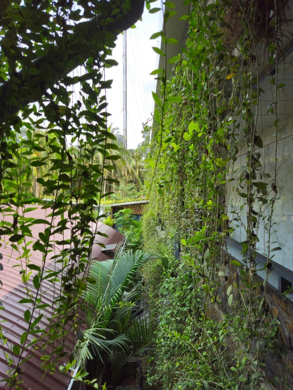Homestay Bao Binh Ben Tre 外观 照片