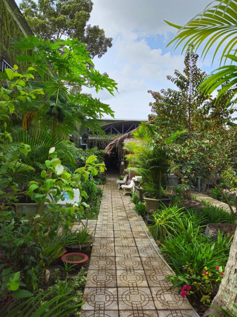 Homestay Bao Binh Ben Tre 外观 照片